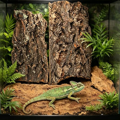 4PCS Reptile Cork Bark, Natural Cork Terrarium Background Reptile Climbing Mat Habitat Decor for Turtles, Lizards, Bearded Dragons, Chameleons