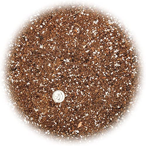 Premium Organic Seed Starter Soil - 5 Quart - All-Purpose Organic Potting Soil for Happy Seedlings and Plants by Gardenera - size: 5 Quart Bag, style: #2 SEED STARTER MIX