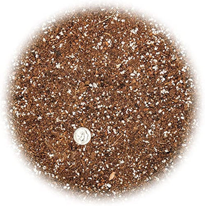 Premium Organic Seed Starter Soil - 3 Quart - All-Purpose Organic Potting Soil for Happy Seedlings and Plants by Gardenera - size: 3 Quart Bag, style: #2 SEED STARTER MIX
