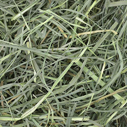 Oxbow Orchard Grass Hay for Small Pets – All-Natural Long Strand Fiber Hay for Rabbits, Guinea Pigs, Chinchillas, and Hamsters – Supports Digestive Health and Enrichment – 40 oz Bag - size: 40 Ounce (Pack of 1)