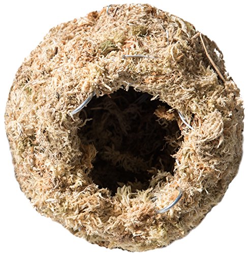 Galápagos (05349) Mossy Cave Hide, 6", Blond Sphagnum - size: 6 Inch Diameter