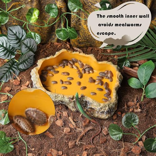 IBWell 5 Inch Reptile Food Dish Escape Proof Reptile Feeding Dish Resin Reptile Water Food Bowl for Bearded Dragon Chameleon Frog Snake Turtle Leopard Gecko - size: 5"
