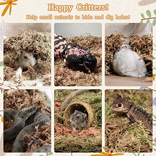 Riare 50QT Natural Sphagnum Moss for Reptiles 2.2LB Terrarium Reptiles Moss | Dried Terrarium Moss Bedding for Snakes Turtles Frogs Geckos Ball Pythons Lepard Gecko Lizards Bearded Dragon & Humid Hides - color: 2.2 LB