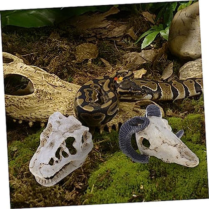 Resin Reptile Pet Skull Hide Skull for Reptile Tank Accessories Fish Tank Decor
