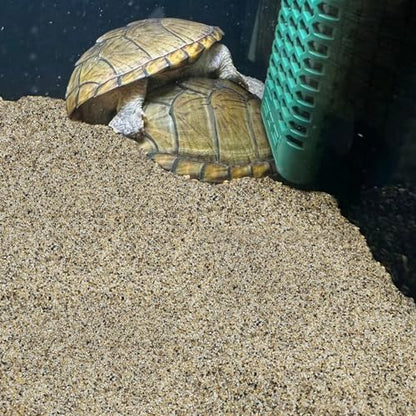 FANTIAN 40 lbs Aquarium Sand. 1/16 Inch Fish Tank Coarse Sand Pea Gravel for Aquarium, Terrariums, Vase Filler, Plant, Soil Drainage and Outdoor Gardens, Landscaping - size: 1/16 Inch