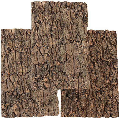 Totority Cork Bark 3Pcs Plants Decor Cork Terrarium Background Decorative Tree Bark Adornment Reptile Climbing Plaything for Gecko Lizard Tortoise Frog Bearded Dragon Tank Access