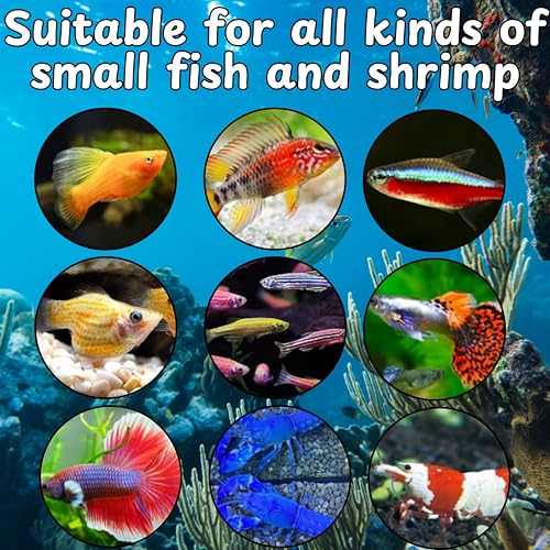 Betta Guppy Breeding Box for Fish Tank and Artificial Plants, Floating Guppy Breeding Box with Suction Cups, Acrylic Breeder Isolation Incubator for Aquarium Tank, Hatchery Breeder Chamber (Green, M)