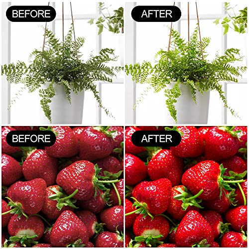 2 Pack LED Grow Light Bulbs A19 Bulb, Full Spectrum Plant Light Bulb, 9W E26 Grow Bulb Replace up to 80W, Grow Light for Indoor Plants, Flowers, Greenhouse, Indore Garden, Hydroponic - size: 2 Count (Pack of 1)