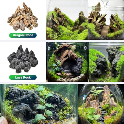 Natural Rocks Dragon Stone 1-2.5 Inches Decorative Stones for Terrariums,Miniature,Fairy Gardens,Bonsai,DIY Crafts, Aquariums,Dioramas & Wargaming-2lb - size: 2lb(1-2.5Inch)