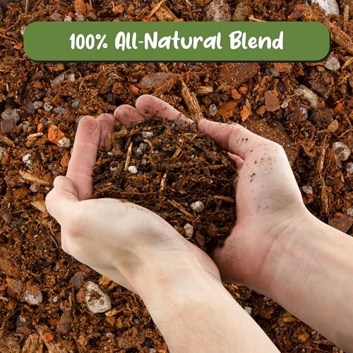 Soil Sunrise Cactus and Succulent Potting Mix (8 Quarts) Special Blend-Fast Draining and Desert-Style Gritty