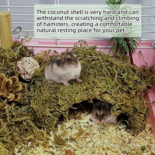 kathson 2Pcs Hamster Hideout, Hamster House, Natural Mossy Coconut Hut, Pet Hiding House, Small Animal Cage Accessories for Mouse Mice Rat Guinea Pigs Reptiles - size: 2 PCS