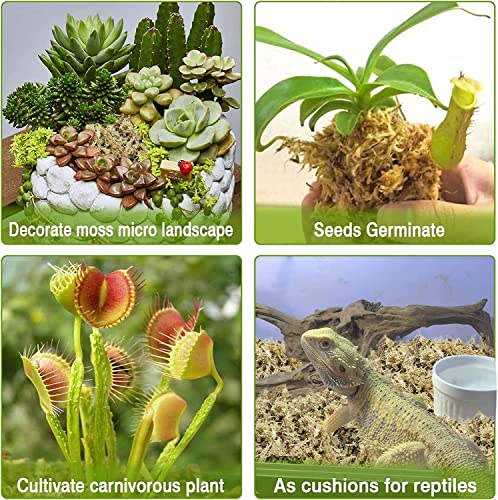 Legigo 2 Quarts Organic Orchid Potting Bark & 2 Quarts Natural Sphagnum Moss Potting Mix-Premium Growing Medium for Orchids, Succulents, Carnivorous Plants & Reptiles