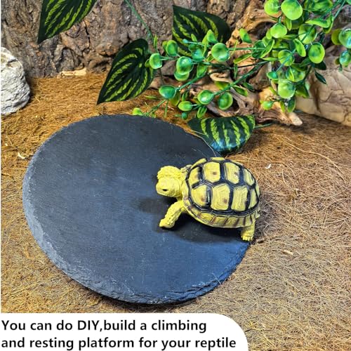 Tfwadmx Reptile Basking Platform,7.8IN Tortoise Rock Slate Plate Feeding Food Bowl Dish Turtle Bathing Resting Terrace for Lizard Bearded Dragon Chameleon Gecko Snake Frog Newt - size: 7.8inch(1pcs)