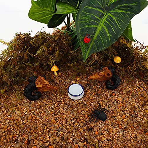 10 Pcs Spider Micro Water Bowl Mini Ceramic Dish for Tiny Reptile Spider Millipede Tarantula (Small Size: 0.86" D, 0.43" H)
