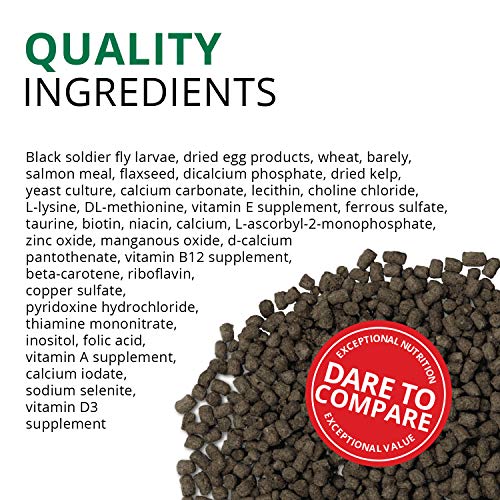 Fluval Bug Bites Turtle Food, Pellets for Small to Medium Sized Turtles, 1.5 oz., A6592, Brown - size: 1.5 Ounce (Pack of 1)