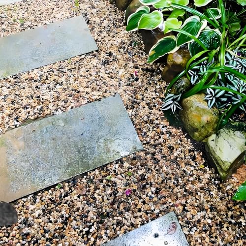 FANTIAN 40 lbs Aquarium Gravel, 1/4 Inch Fish Tank Pea Gravel, Decorative River Rocks Stone for Freshwater Tanks, Outdoor Pond, Garden, Landscaping, Terrarium, Soil Drainage - size: 1/4 Inch