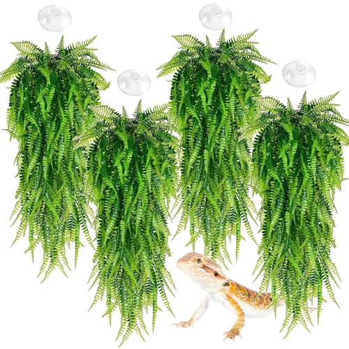 Hamiledyi Reptile Plants 4 PCS Hanging Plants Vines Artificial Leaves Habitat Decorations with Suction Cup for Bearded Dragons Lizards Geckos Snake Pets Hermit Crab - color: 4pcs Green Persian Fern