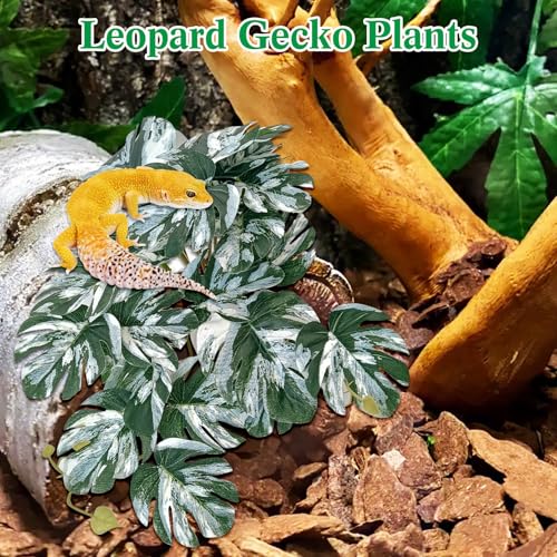 VCEPJH Snake Climbing Branch, 2Pcs Reptile Wood Natural Cork Log and 2 Pcs Reptile Plants with Suction Cup Amphibian Habitat Decor Artificial Leaves for Bearded Dragon, Lizard, Snake
