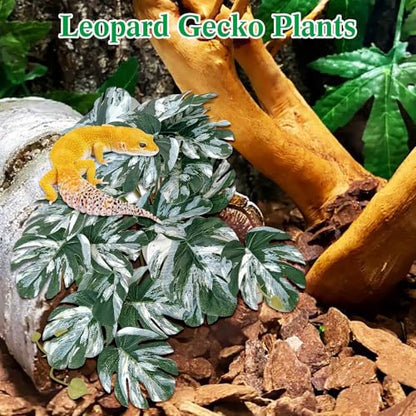 VCEPJH Snake Climbing Branch, 2Pcs Reptile Wood Natural Cork Log and 2 Pcs Reptile Plants with Suction Cup Amphibian Habitat Decor Artificial Leaves for Bearded Dragon, Lizard, Snake
