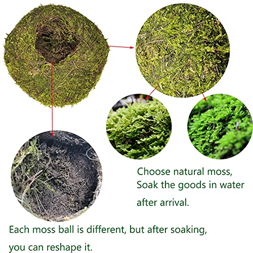 Hamiledyi Reptile Moss Cave Hide,Crested Gecko Habitat Hammock Green Moss Accessories Plastic Terrarium Plant Vines for Small Bearded-Dragon,Snakes,Chameleon Climbing Hibernation Sleeping