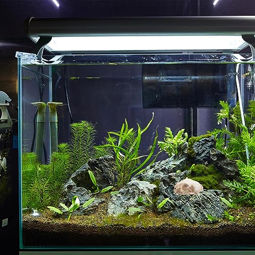 Amosfun Halloween Animal Scary Skeleton Props Resin Cat Skull Model Figurine Aquarium Fish Tank Landscape Decorations