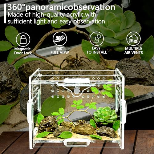 Small Acrylic Insect Terrarium – Mini Insect Enclosure for Jumping Spiders – Clear Acrylic Cage with 1mm Ventilation Holes, Easy Maintenance - size: Small Square Acrylic Terrarium