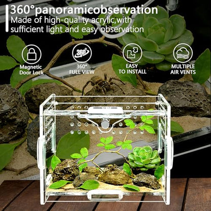 Small Acrylic Insect Terrarium – Mini Insect Enclosure for Jumping Spiders – Clear Acrylic Cage with 1mm Ventilation Holes, Easy Maintenance - size: Small Square Acrylic Terrarium