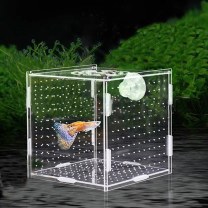 PINVNBY Acrylic Fish Breeding Box，Guppy breeding Box Acrylic Fish Isolation Box Aquarium Incubator with Suction Cups for Guppy Shrimp Small Baby Fishes（3.9 x 3.9 x 3.9 inches） - size: S(3.9 * 3.9 * 3.9in)