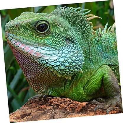 4pcs Cork Bark for Reptiles Natural Tree Bark Decoration for Terrarium Climbing Platform for Snakes Lizards Bearded Dragons and Other Crawling Pets
