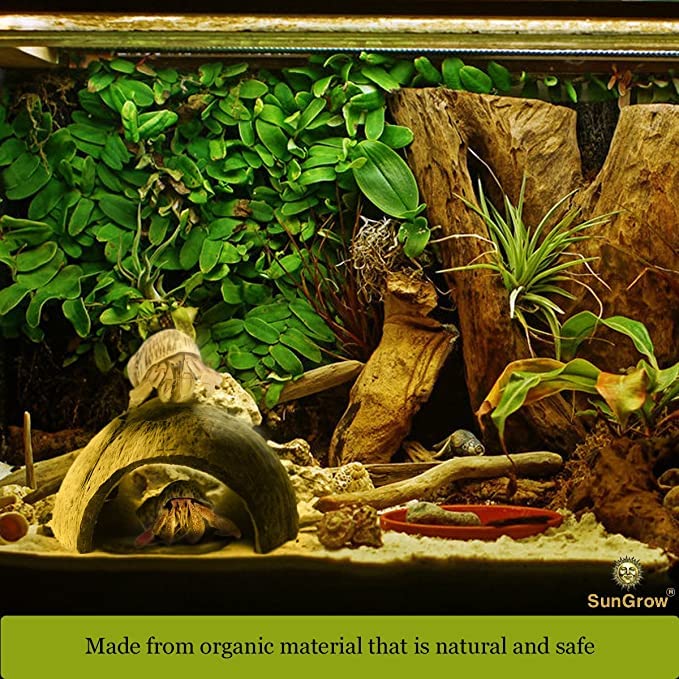 SunGrow Crested Gecko Coconut Huts, 5x3 Inches Reptile Climbing Hide, Leopard Gecko Tank Cage Habitat Accessories, Smooth-Edged Coconut Shell for Exercise, Crawling, Perching and Basking Spot