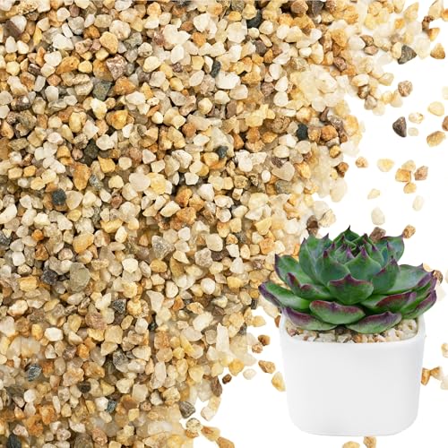 NUPICK 3-5mm Coarse Sand for Plants, 20lb Horticultural Grit for Succulents, Desert Silica Sand for Cactus, Decorative Gravel for Landscaping, Gold Grit for Aquariums, Bonsai, Vases Fillers - size: 3-5mm, style: 20lb