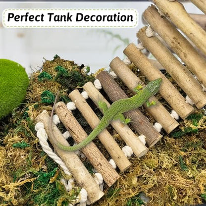 VCEPJH Reptile Bridge for Terrarium 2 Pack Wooden Bearded Dragon Climbing Ladder Hanging Flexible Swing Tank Deor Accessories for Gecko Hermit Crab Chameleons Turtle Lizard Frog