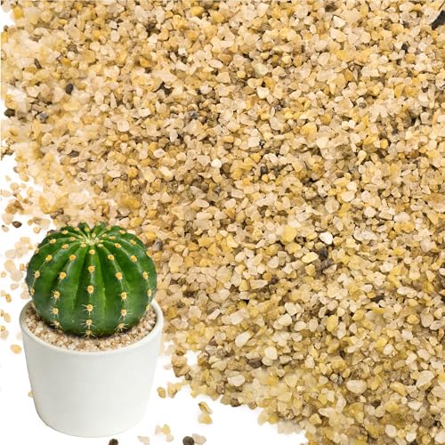 4LB 1-2mm Horticultural Sand for Succulents and Cactus Soil | Natural Coarse Sand for Plants, Multi-Purpose Silica Horticultural Grit for Aquarium, Vase Filler, Fire Pit & Garden Decor - size: 1-2mm, style: 4LB