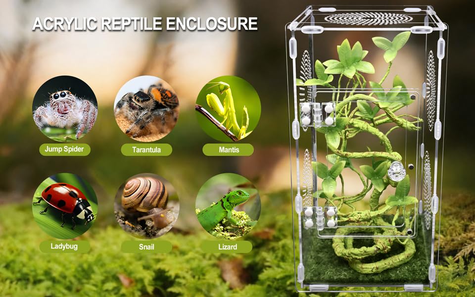 Large Jumping Spider Enclosure, Tarantula Enclosure with Front Opening Door, Spider Enclosure for mantises, Lizards, Frogs and Insects. (6x6x12 Inch, Assemble)