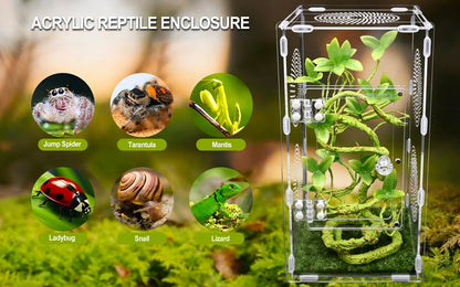 Large Jumping Spider Enclosure, Tarantula Enclosure with Front Opening Door, Spider Enclosure for mantises, Lizards, Frogs and Insects. (6x6x12 Inch, Assemble)