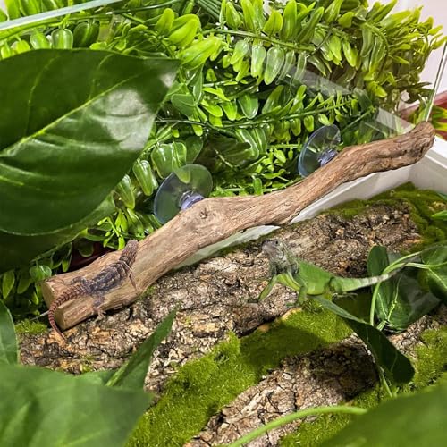 Reptile Climbing Stick – Flexible Snake Climbing Branch, Natural Tank Decor Vine | Terrarium Setup Branch Decoration, Habitat Enrichment for Tree Frogs, Lizards, Geckos, Chameleons, Iguanas