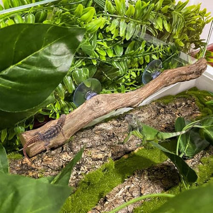 Reptile Climbing Stick – Flexible Snake Climbing Branch, Natural Tank Decor Vine | Terrarium Setup Branch Decoration, Habitat Enrichment for Tree Frogs, Lizards, Geckos, Chameleons, Iguanas