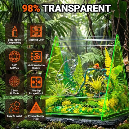 Triangular Jumping Spider Enclosure, Acrylic Terrarium with Magnetic Doors, 0.8mm Micro-Ventilation& Escape-Proof Design for Tarantulas, Lizards, Small Pets (Green,9.4"x10.9"x10.6") - size: 1Pack, Green,9.4"x10.9"x10.6"