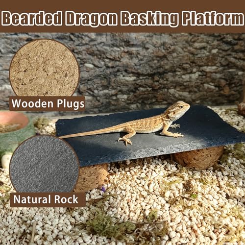 Bearded Dragon Basking Rock Platform,Reptile Basking Slate Rock with Wooden Stump,Leopard Gecko Hides and Caves Tank Accessories for Lizards,Snakes,Turtle,Ball Pythons