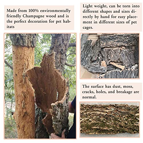 BNOSDM 2PCS Cork Bark Background,11.8" x 7.9" Natural Reptile Terrarium Backdrop, Lizard Climbing Wall Decor for Bearded Dragon Leopard Gecko Snake Chameleon