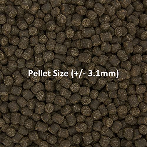 Ocean Nutrition Formula Two Pellets - Fish Food for Herbivorous & Omnivorous Marine Tropical Fish, High Protein(40%) - 14 oz (400 g) Medium Pellets - size: 14 Ounce (Pack of 1), style: Medium Pellet Size (+/- 3.1mm)