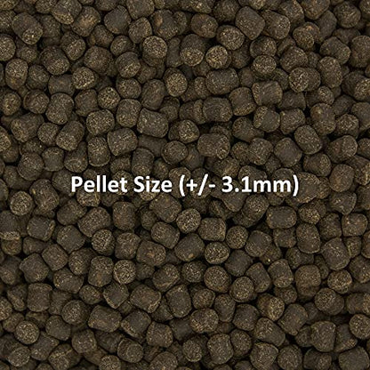 Ocean Nutrition Formula Two Pellets - Fish Food for Herbivorous & Omnivorous Marine Tropical Fish, High Protein(40%) - 14 oz (400 g) Medium Pellets - size: 14 Ounce (Pack of 1), style: Medium Pellet Size (+/- 3.1mm)