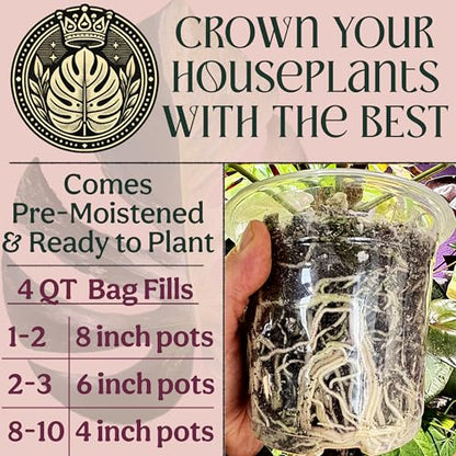 Craft Houseplant Potting Mix, Elite House Plant Soil, Chunky, Well Draining Potting Soil for Indoor Plants, Tropical Plants & Potted Plants, Sustainable & Peat Free, Less Prone to Gnats 4qt - size: 4qt
