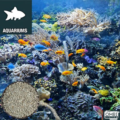 Zeolite Regular 18 lbs, Clinoptilolite 1/8"–1/4" (3–6 mm), Soil Amendment for Succulents, Bonsai & Plants, Improves Drainage and Moisture Balance, Decorative and Aquarium Use - style: Regular - 18 lbs