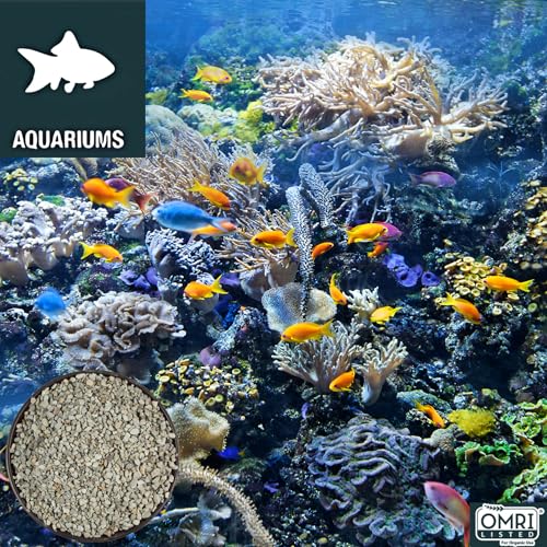 Zeolite Regular 24 lbs, Clinoptilolite 1/8"–1/4" (3–6 mm), Soil Amendment for Succulents, Bonsai & Plants, Improves Drainage and Moisture Balance, Decorative and Aquarium Use - style: Regular - 24 lbs