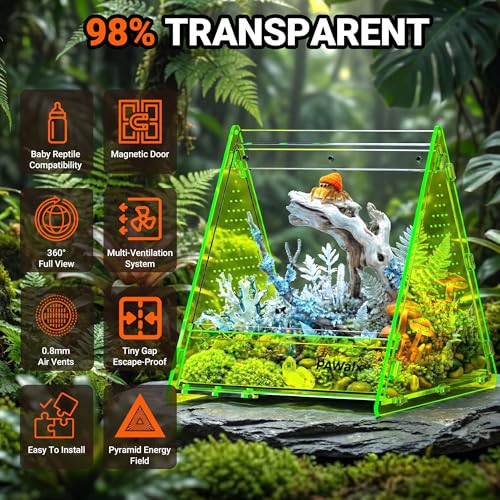 Triangular Jumping Spider Enclosure, Acrylic Terrarium with Magnetic Doors, 0.8mm Micro-Ventilation& Escape-Proof Design for Tarantulas, Lizards, Small Pets (Green,6.5"x7.3"x7") - size: 1Pack, Green,6.5"x7.3"x7"