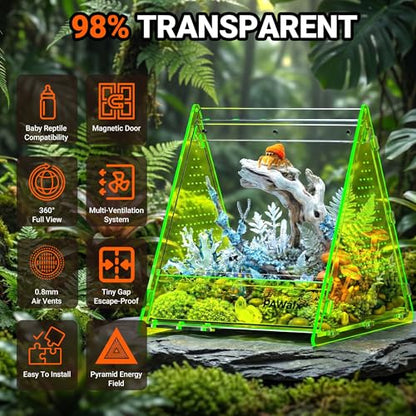Triangular Jumping Spider Enclosure, Acrylic Terrarium with Magnetic Doors, 0.8mm Micro-Ventilation& Escape-Proof Design for Tarantulas, Lizards, Small Pets (Green,6.5"x7.3"x7") - size: 1Pack, Green,6.5"x7.3"x7"