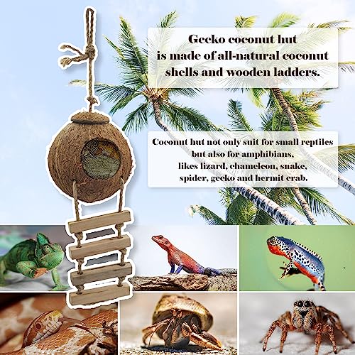 6PCS Crested Gecko Coconut Hut, Lizard Coco Den with Ladder and Reptile Hammock Bearded Dragon Tank Accessories Climbing Hanging Plants Jungle Vine Flexible Reptile Leaves Decor - style: 【Style B】