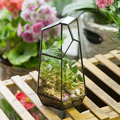 NCYP Small No Door Glass Geometric Terrarium - 4.9 x 3.9 x 7.4 Inches Irregular Clear Terrarium Pot for Mini Succulents, Small Cactus, Indoor Garden Tabletop Decoration (No Plants) - size: 4.9"x3.9"x7.4"