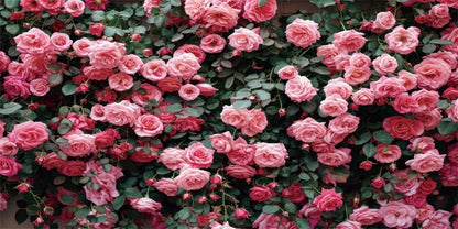 YongFoto Reptile Terrarium Background 24x12 inch Reptile Tank Background Green Leaves Pink Floral Rose Flowers Wall Reptile Habitat Background Bearded Dragon Fish Tank Aquarium Background Backdrop - color: Pink, size: 24x12in/60x30cm